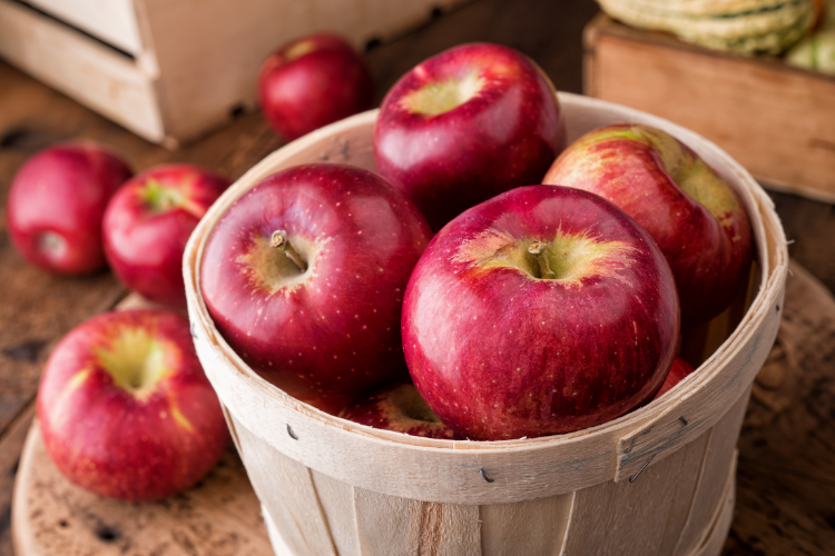 Fall Apple Picking - Northeast Ohio - Cutler Real Estate